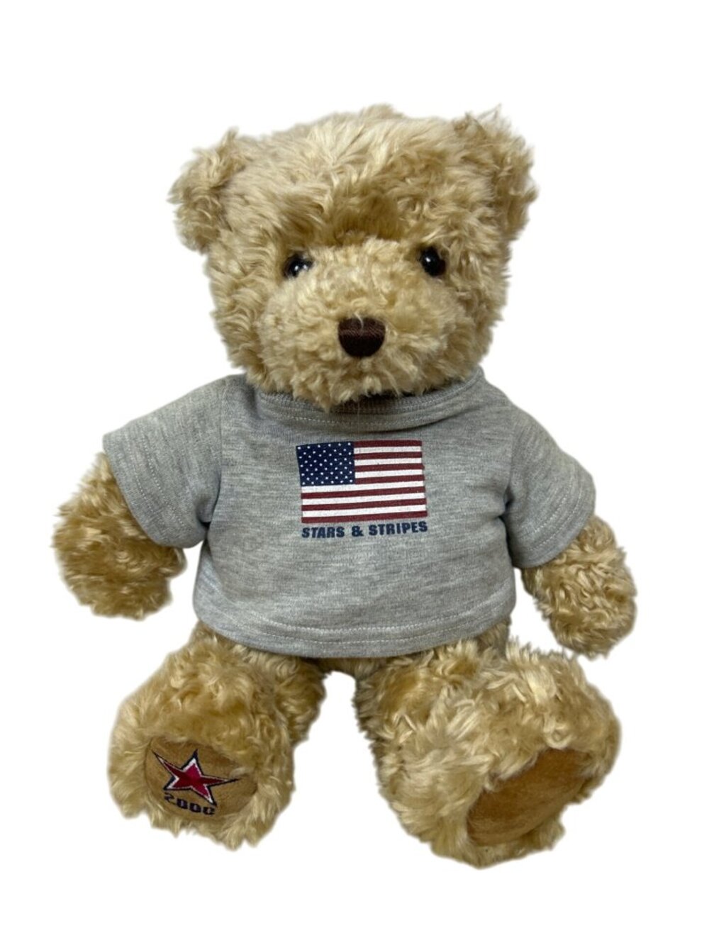 Vintage Gund Care Bears Wish Bear Plush Star & Stripes Limited Edition 2000